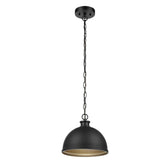 Talullah 1-Light Matte Black Pendant Lighting with Gold Interior - Like New
