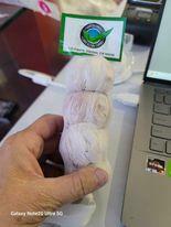 4 PC Garlic LG Farms