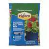 Vigoro 10 qt. All Purpose Potting Soil Mix for Indoor or Outdoor Use for Fruits, Flowers, Vegetables and Herbs