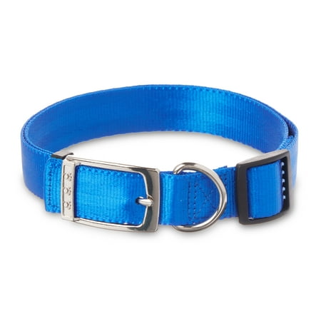 Vibrant Life Solid Nylon Dog Collar with Metal Buckle  Blue  Large