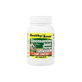 Healthy Sense Glucosamine 500 Mg Tablets 20 Count