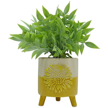 Festive Voice Sunflower Ceramic Plant - 1.0 ea
