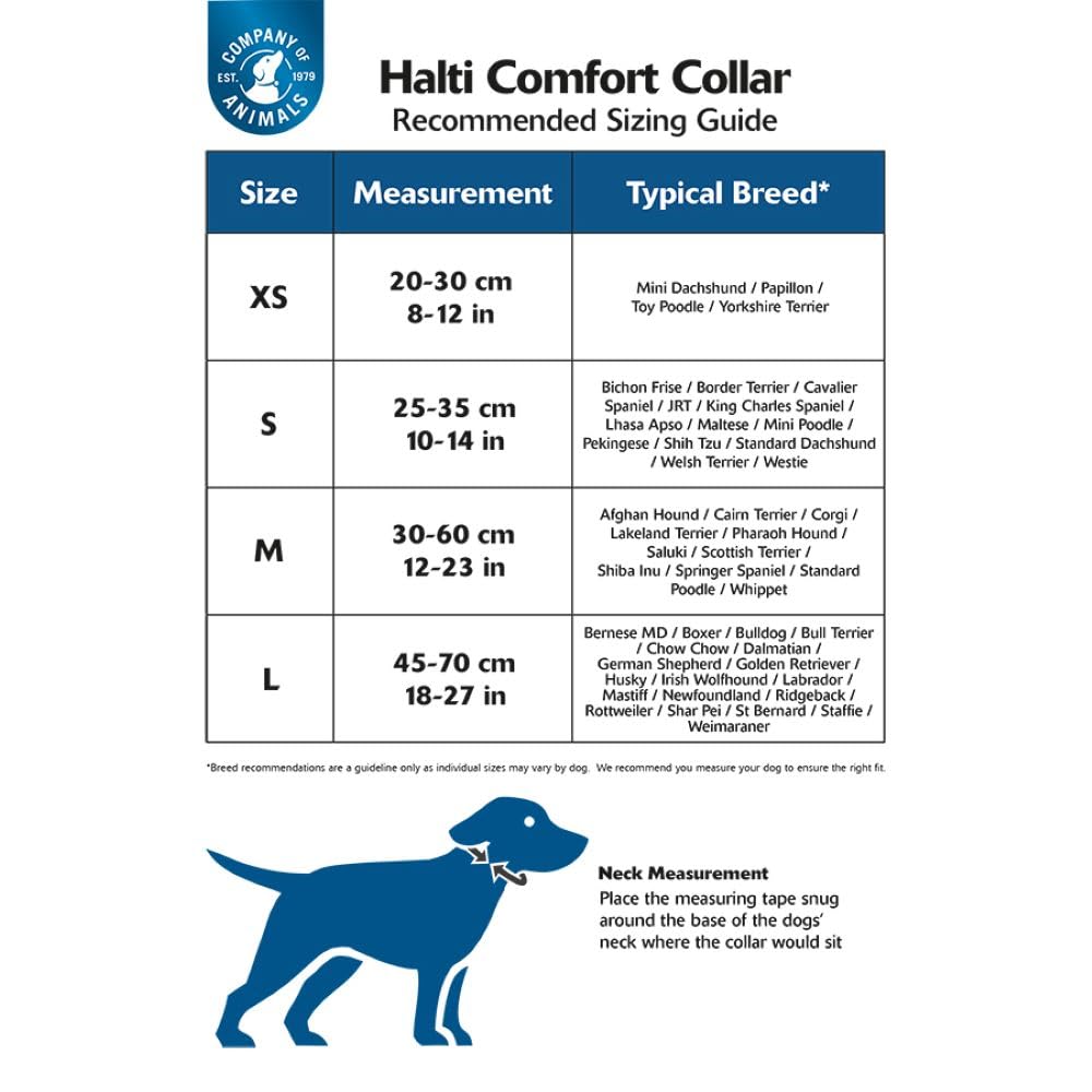 HALTI Comfort Collar - Nylon and Neoprene-Padded Comfy Dog Collar, Reflective, Easy to Fit & Use. Colorful two-tone design, Suitable for Small Dogs and Puppies (Size XS, Purple)