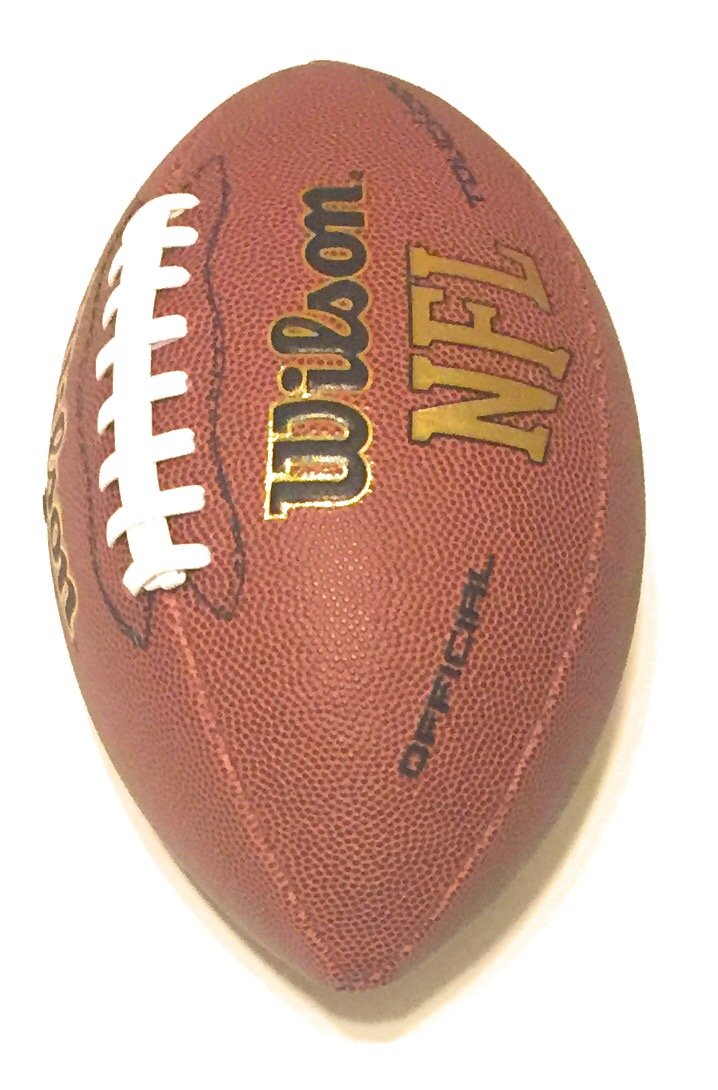 Wilson Sporting Goods Wilson NFL Touchdown Soft Composite Leather Football