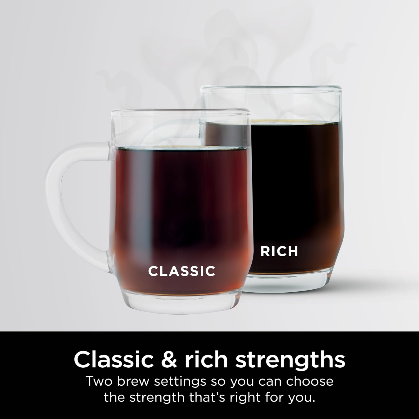 Ninja 12-Cup Programmable Coffee Brewer, 2 Brew Styles, Adjustable Warm Plate, 60oz Water Reservoir, Delay Brew - Black/Stainless Steel - Like New