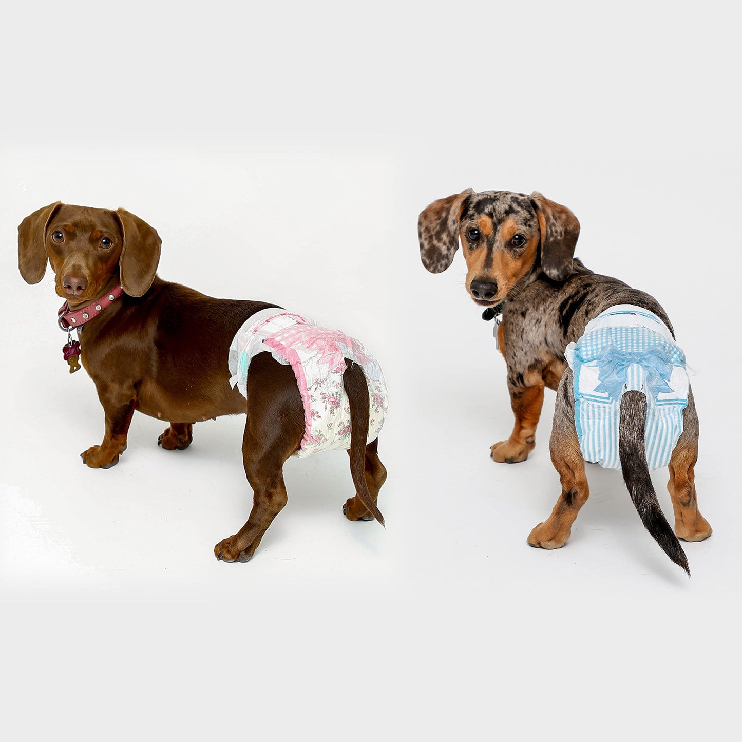 Hartz Disposable Dog Diapers, Size S 36 count, Comfortable & Secure Fit, Easy to Put On