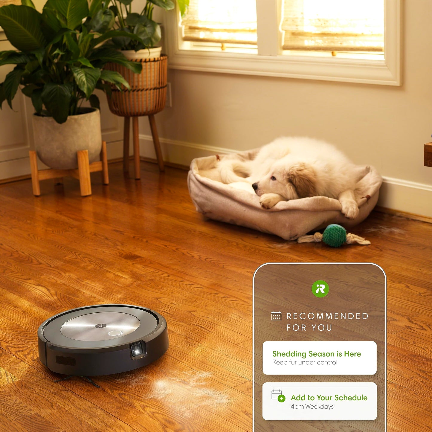 iRobot Roomba j7+ (7550) Self-Emptying Robot Vacuum – Avoids Common Obstacles Like Socks, Shoes, and Pet Waste, Empties Itself for 60 Days, Smart Mapping, Works with Alexa - Like New