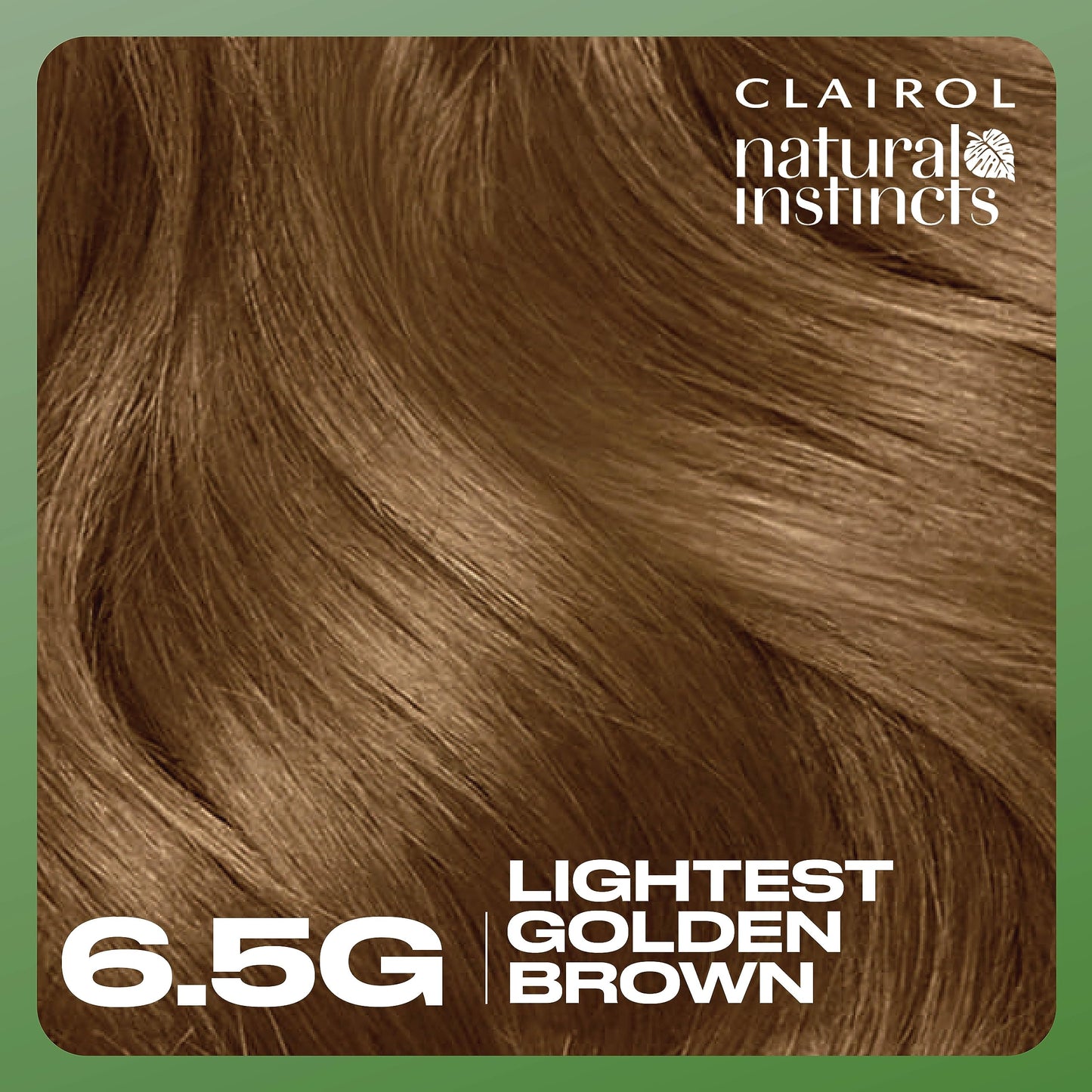 Clairol Natural Instincts Demi-Permanent Hair Dye, 6.5G Lightest Golden Brown Hair Color, Pack of 1