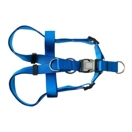Vibrant Life Polyester Step-in Dog Harnesses  Blue  M
