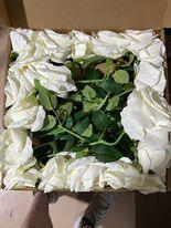 Serwalin Artificial Roses - White - Like New